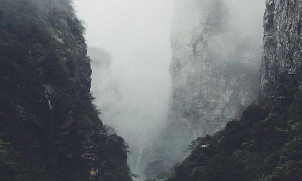 深度关注：先撤军还是先解除武装？加沙停火卡在关键前提